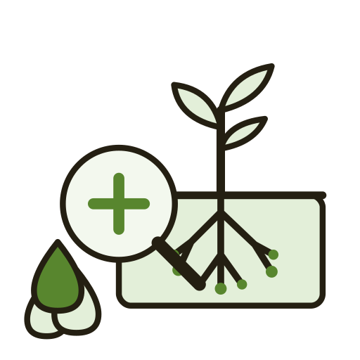 Bulk Tree Plantation for Universities