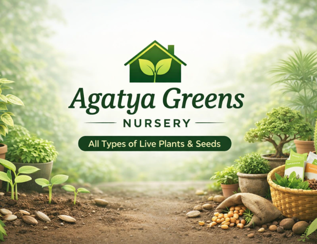 Agatya Greens Nursery – live plants and forest seeds in Maharashtra