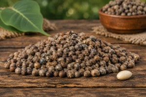 Peepal plants seed